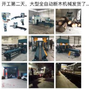 2017年發(fā)貨國內250型原木斷木機生產線&nbsp;圓木截木機，鋸木機生
